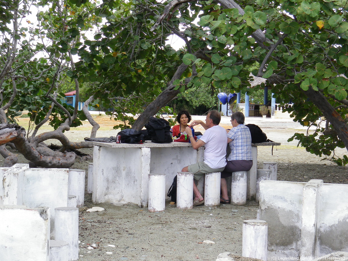 Beach - Altantic03.jpg